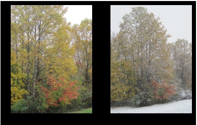 October snow, before and after photos